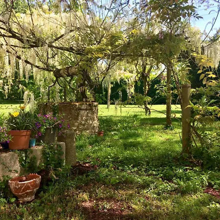 Une D'artiste Dans Le Marais Poitevin Appartement La Ronde (Charente-Maritime)